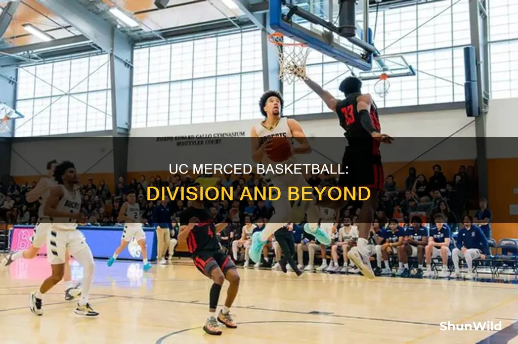 what division is uc merced basketball