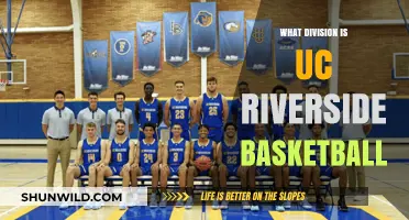 UC Riverside Basketball: Division Membership and History