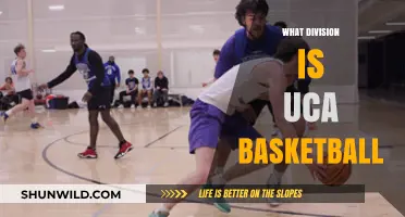 UCA Basketball: What Division Do They Play In?