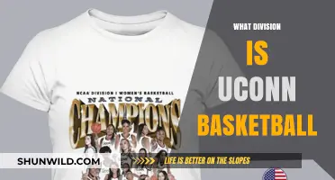 UConn Basketball: What Division Do They Play In?