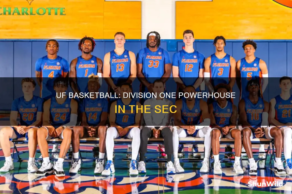 what division is uf basketball