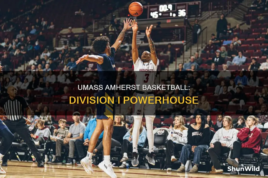 what division is umass amherst basketball