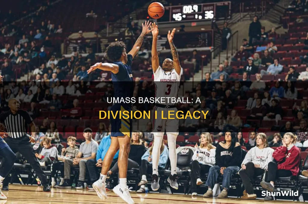 what division is umass basketball