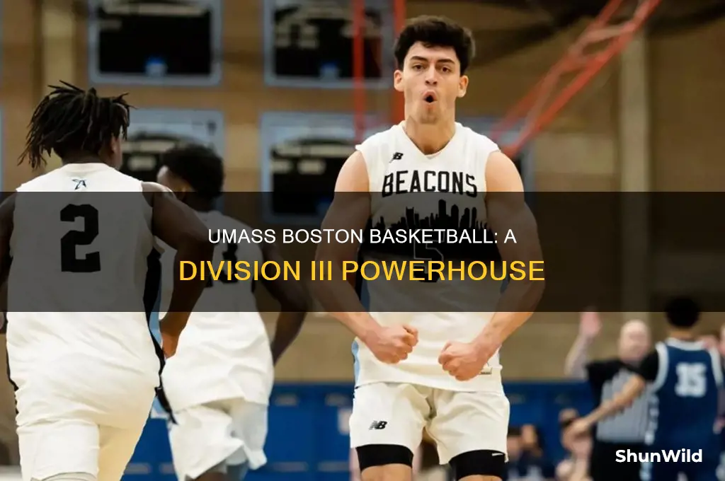 what division is umass boston basketball