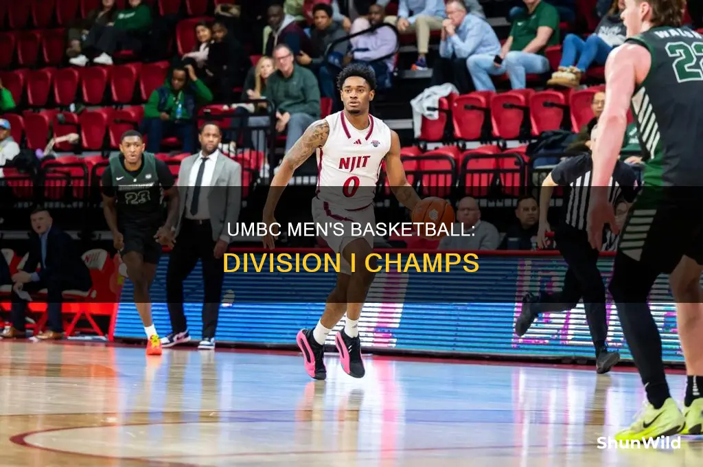 what division is umbc men