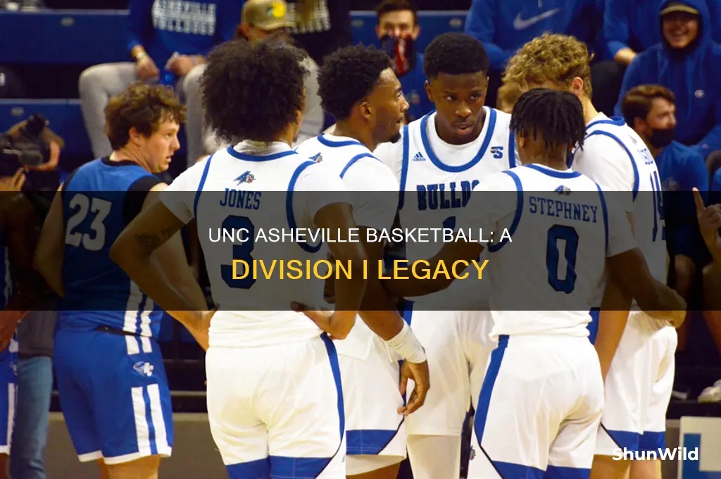 what division is unc asheville basketball