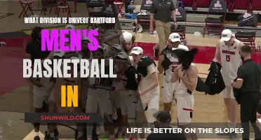 Hartford Hawks: Soaring in Division I