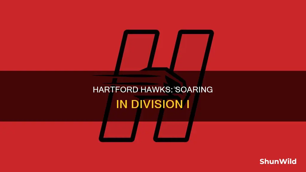 what division is univeof hartford men