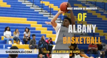 University of Albany Basketball: Division I Status and Success