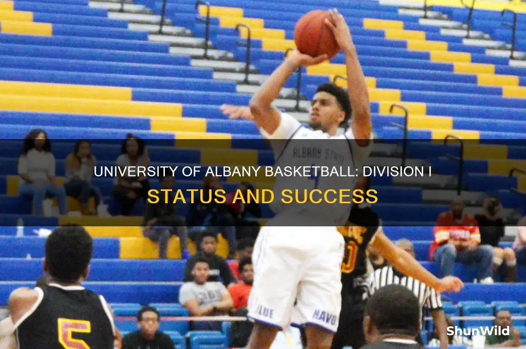 what division is university of albany basketball