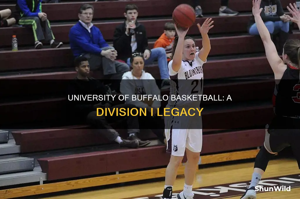 what division is university of buffalo basketball