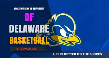 Delaware Blue Hens: Basketball Division Explored
