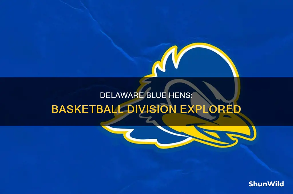 what division is university of delaware basketball