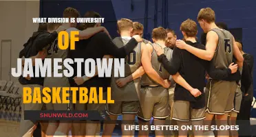 Jamestown University Basketball: What Division?