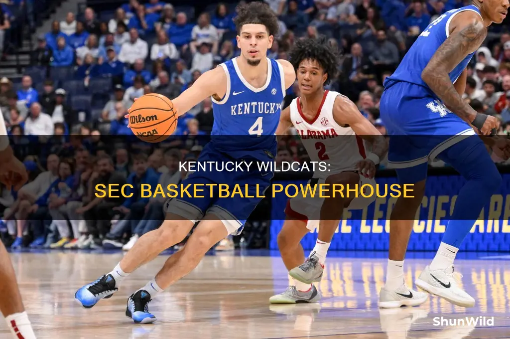 what division is university of kentucky basketball