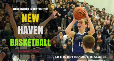 University of New Haven Basketball: Division II Status