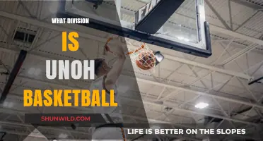 UNOH Basketball: A Division Overview