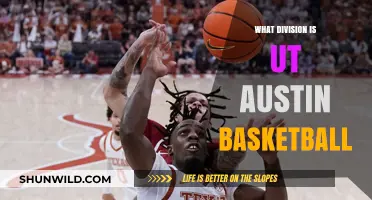 Texas Longhorns: Understanding Their Basketball Division