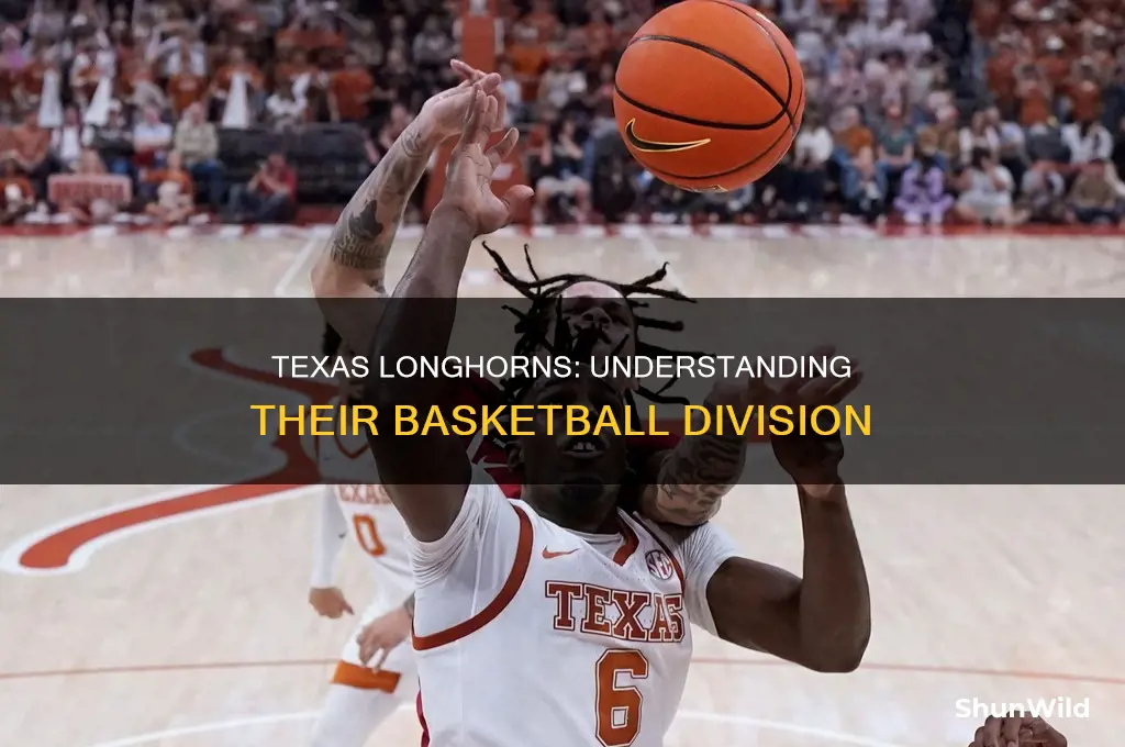 what division is ut austin basketball
