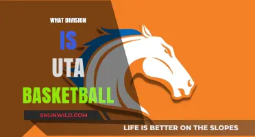 UTA Basketball: A Division I Team's Journey