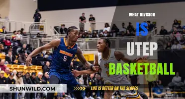 UTEP Basketball: A Division to Watch Out For