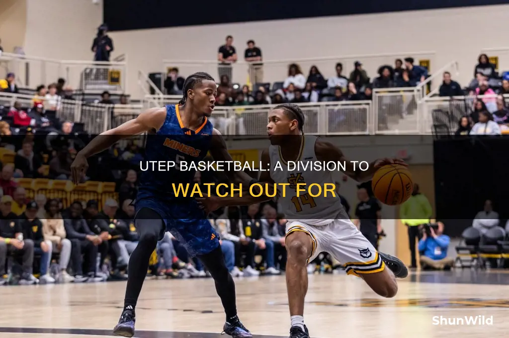 what division is utep basketball