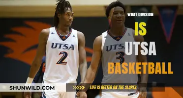 UTSA Basketball: A Division I Legacy