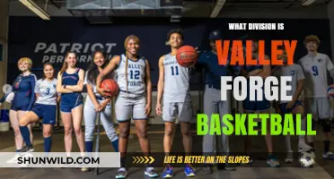 Valley Forge Basketball: What Division?