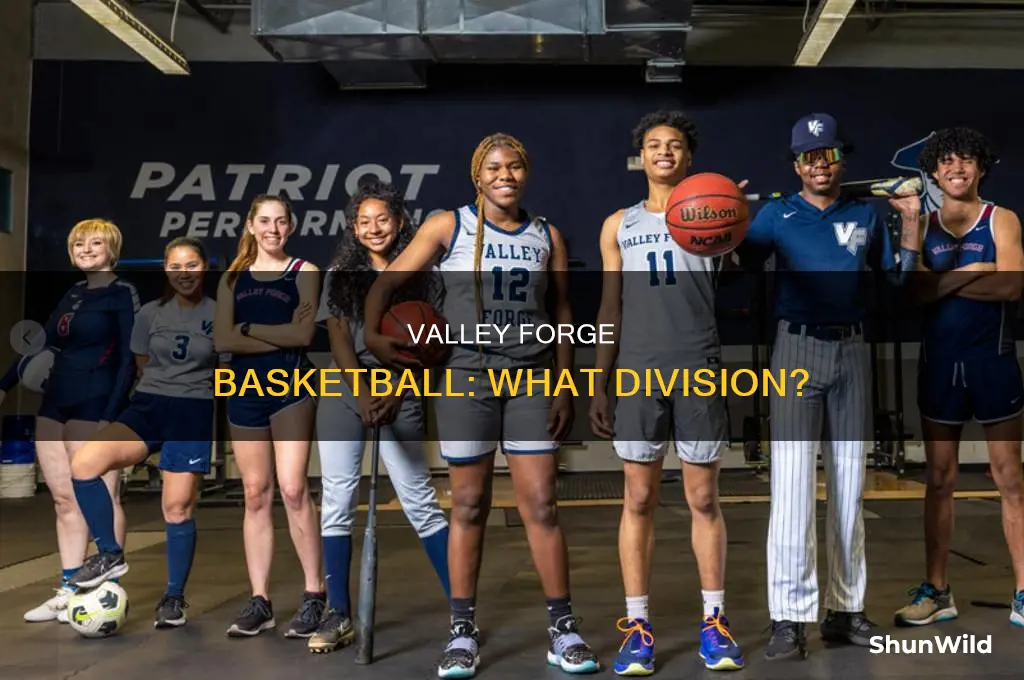 what division is valley forge basketball