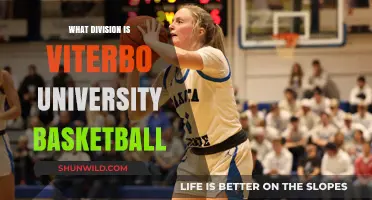 Viterbo University Basketball: What Division Do They Play In?