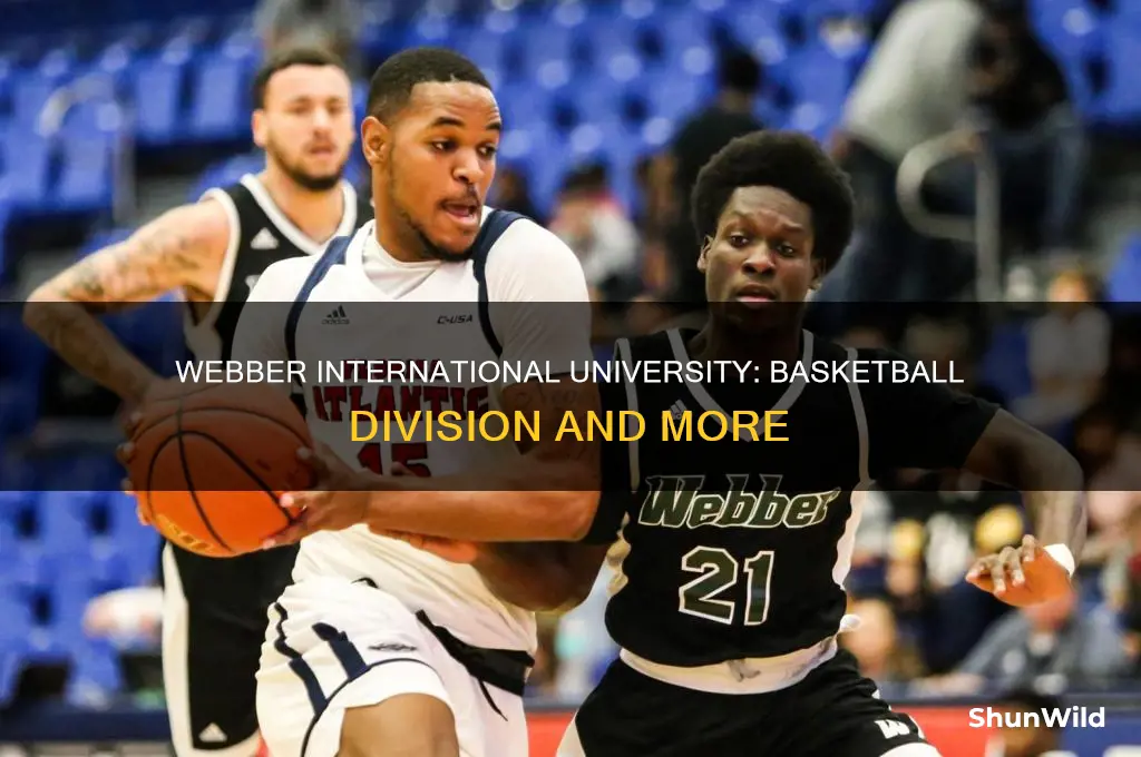 what division is webber international university basketball