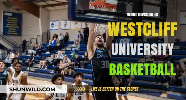 Westcliff University Basketball: A Division Overview
