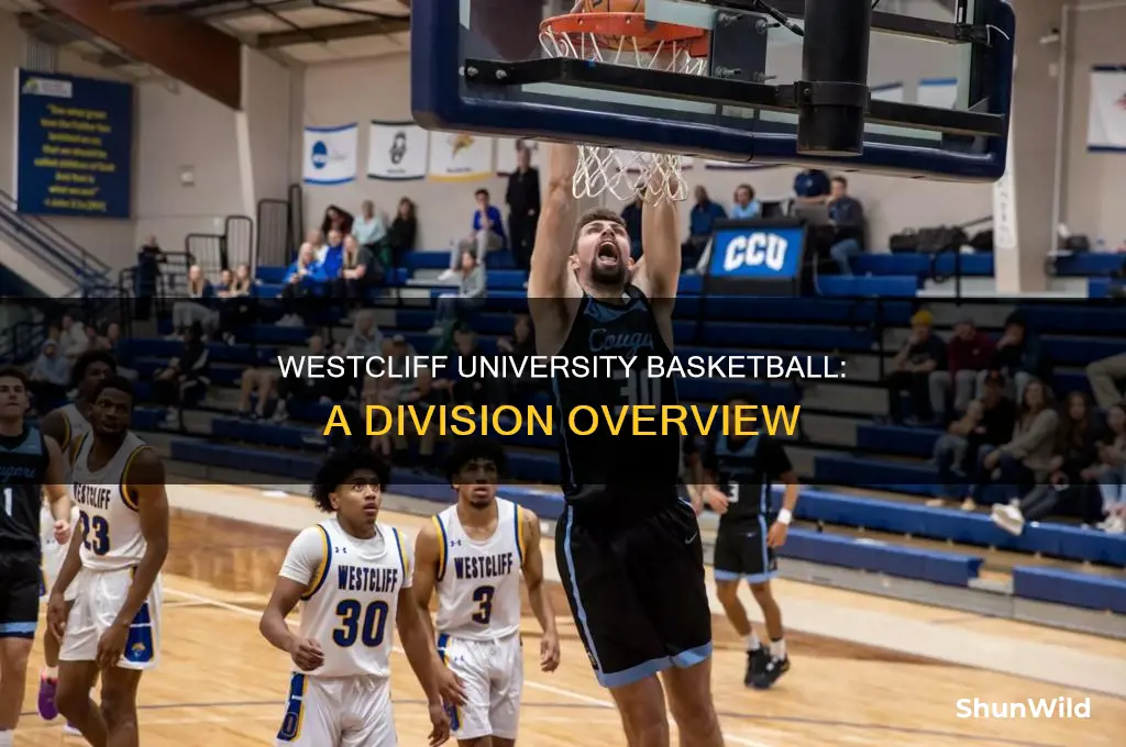 what division is westcliff university basketball