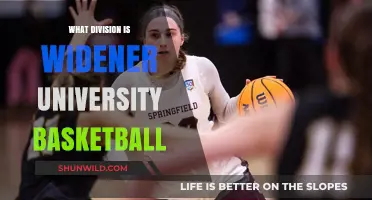 Widener University Basketball: What Division?