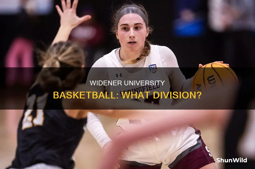 what division is widener university basketball