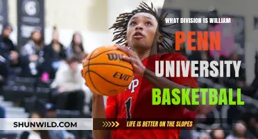William Penn University Basketball: What Division?