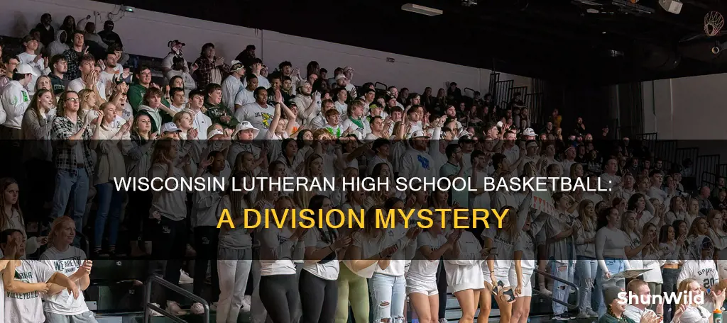 what division is wisconsin lutheran high school basketball