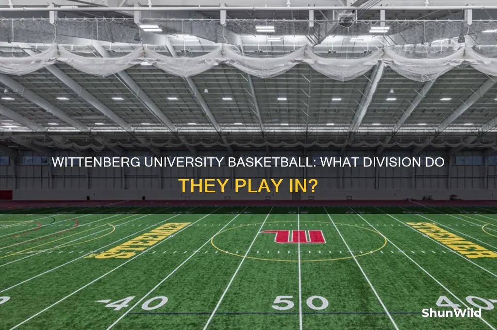 what division is wittenberg university basketball