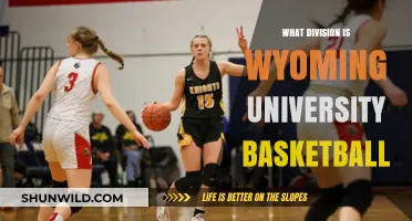Wyoming University Basketball: A Division One Team's Journey
