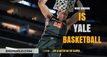 Ivy League: Yale Basketball's Division
