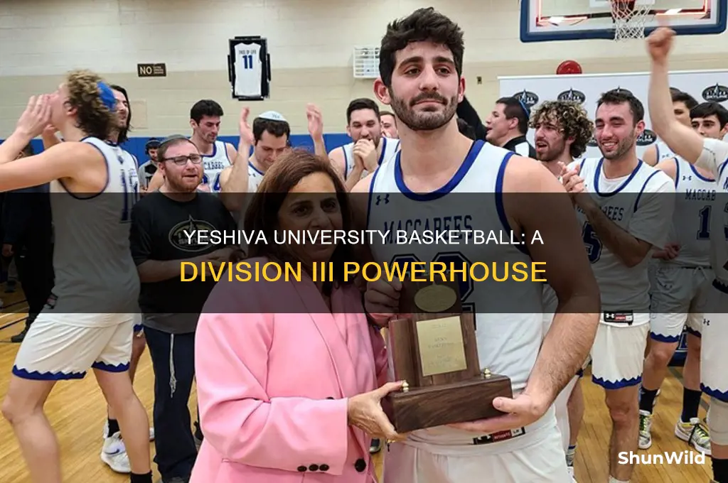 what division is yeshiva university basketball