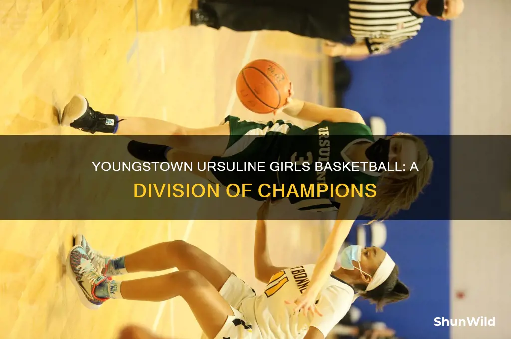 what division is youngstown ursuline girls basketball