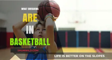 Basketball Divisions: Understanding the League Structure