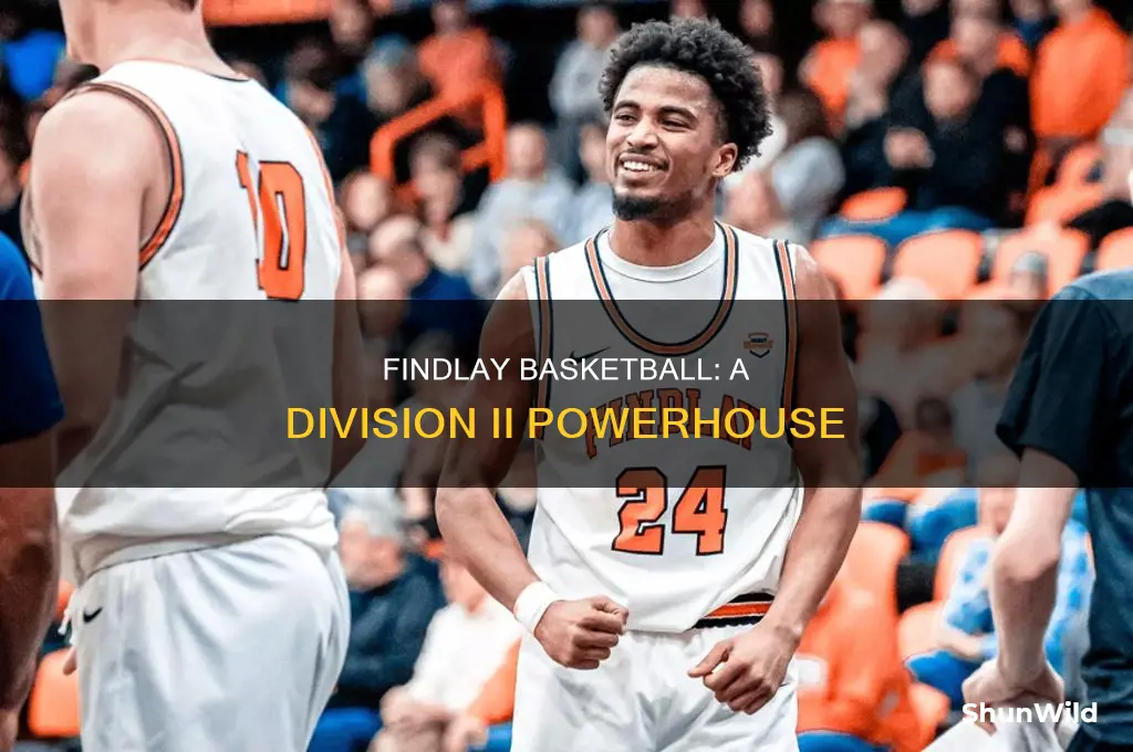 what divison is findlay basketball