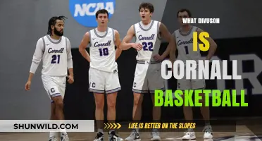 Cornell Basketball: Understanding Divisional Success
