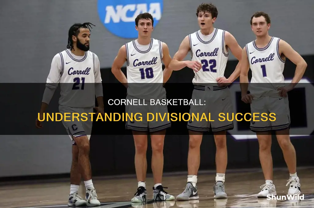 what divuson is cornall basketball