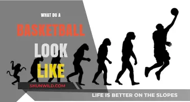 The Evolution of Basketball Design: A Visual Journey