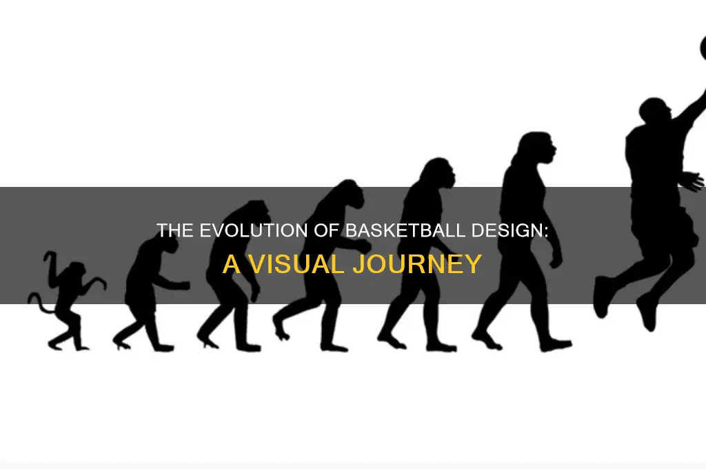 what do a basketball look like