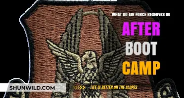 Life After Boot Camp: Roles and Responsibilities of Air Force Reserves