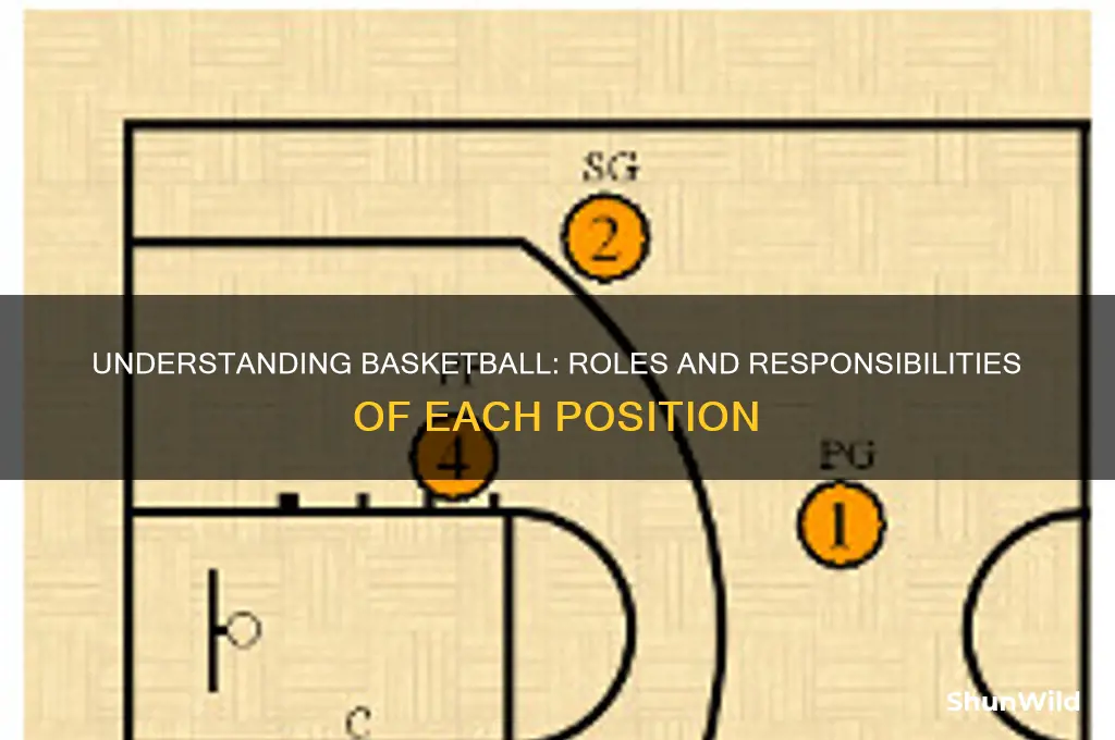 what do all basketball positions do
